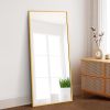 Dolonm 65x22 Inch Full Length Mirror, Modern Design Standing Floor Mirror, Full Body Mirror for Living Room, Bedroom, Bathroom, Cloakroom, Hallway